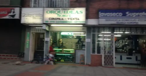 CASA COMERCIAL ORQUIDEAS NORTE CASA COMERCIAL ORQUIDEAS NORTE